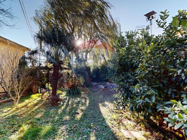 Casa Indipendente Celle Ligure, SV Vendita - Foto 4