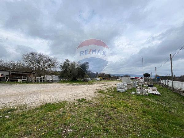 Terreno Edificabile Marta, VT Vendita - Foto 2