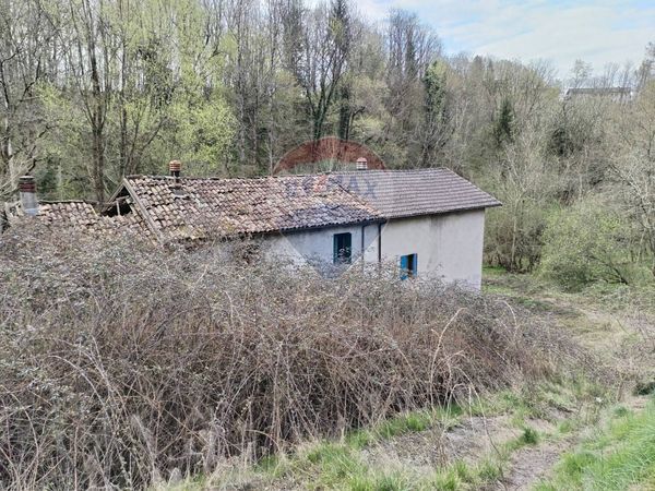 Casa Indipendente Orzes, Belluno, BL Vendita - Foto 4