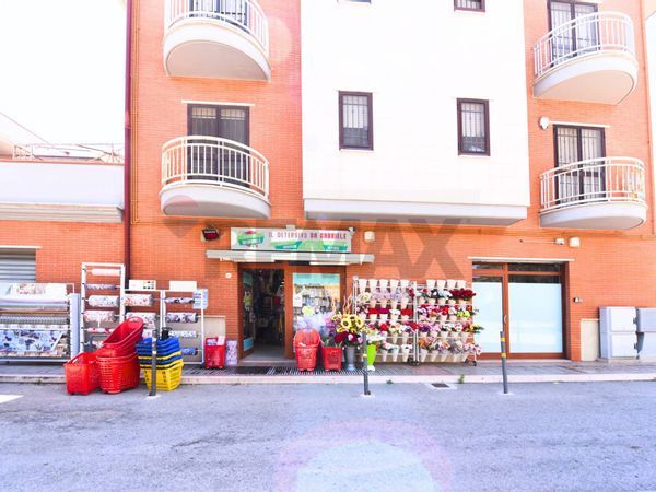 Locale Commerciale Macchia Gialla, Foggia, FG Vendita
