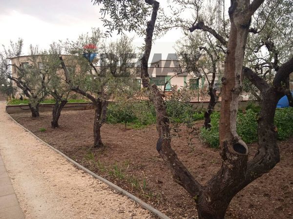 Commerciale Altro Barletta, BT Affitto - Foto 4