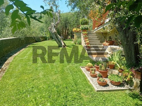 Villa singola Pescia, PT Vendita - Foto 4