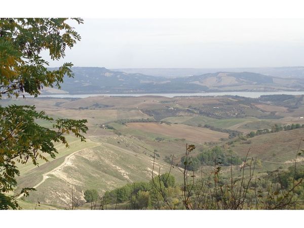 Fattoria Miglionico, MT Vendita