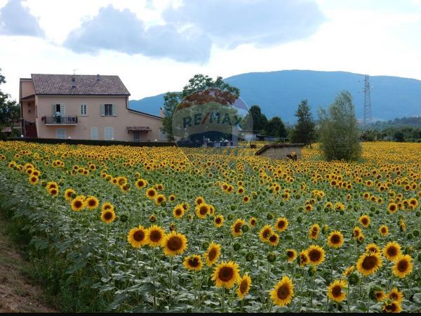 Casa Indipendente Spoleto, PG Vendita - Foto 3