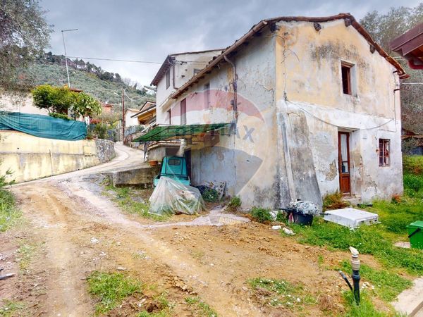 Rustico Stiava, Massarosa, LU Vendita - Foto 4