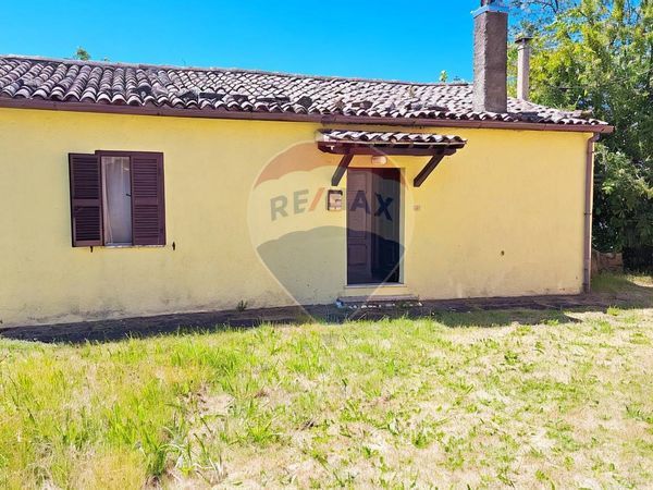 Casa Indipendente Latera, VT Vendita