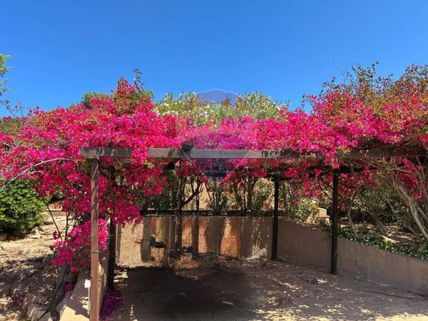 Villa singola Costa Paradiso, Trinità d'Agultu e Vignola, SS Vendita - Foto 3
