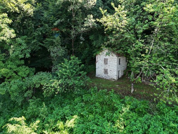 Baita/Chalet/Trullo Faller, Sovramonte, BL Vendita - Foto 3