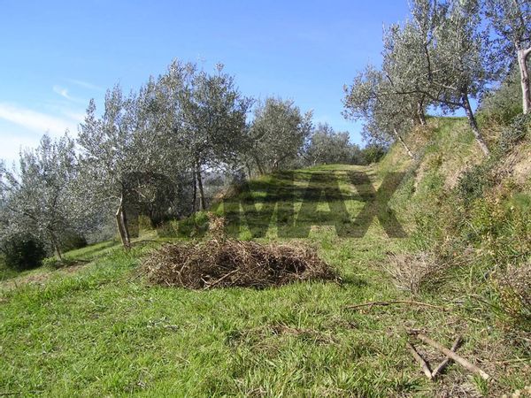 Rustico Pieve San Nicolò, Assisi, PG Vendita