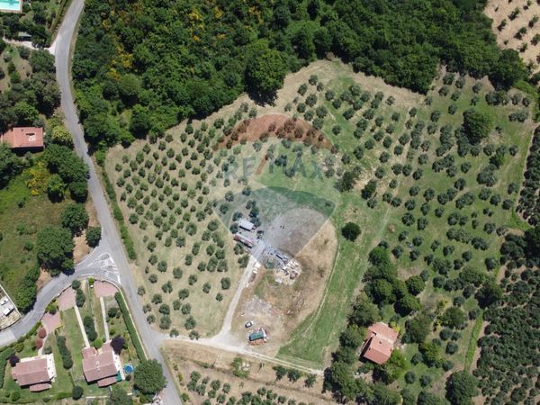 Terreno Edificabile Montecchio, TR Vendita - Foto 4