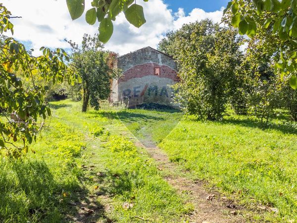 Cascina/Casale Vetralla, VT Vendita - Foto 4