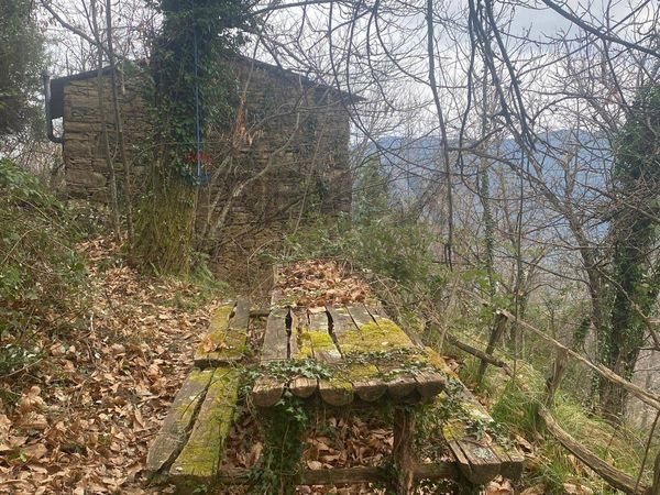 Rustico Vescina, Avegno, GE Vendita - Foto 3