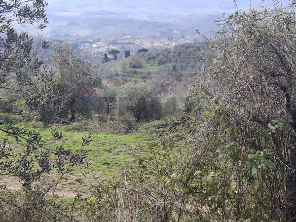 Terreno Casabiondo, Castelfranco Piandiscò, AR Affitto - Foto 3