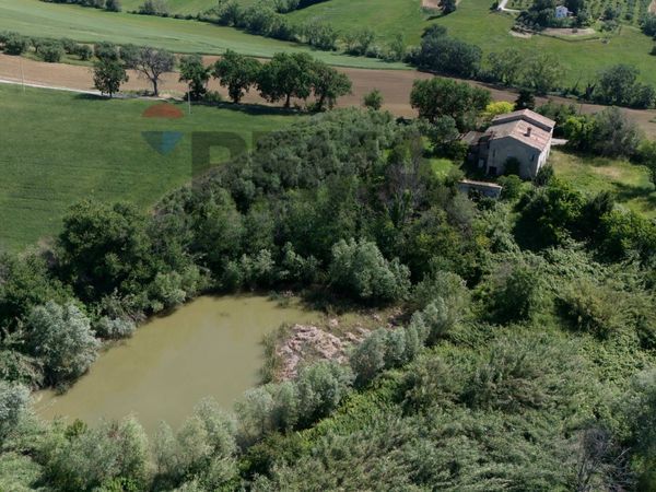 Cascina/Casale Collina, Santa Maria Nuova, AN Vendita