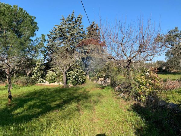 Baita/Chalet/Trullo Polignano a Mare, BA Vendita - Foto 4