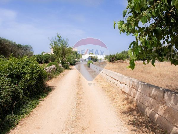 Cascina/Casale Mesagne, BR Vendita - Foto 3