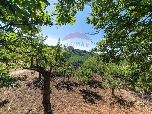 Terreno Centuripe, EN Vendita - Foto 2