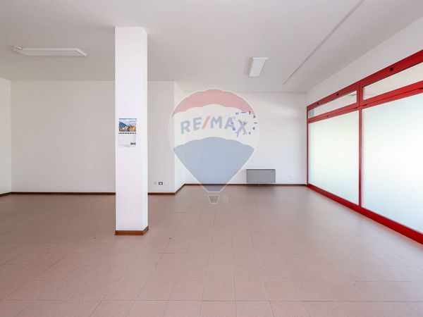 Negozio Mandriola, Albignasego, PD Vendita - Foto 2