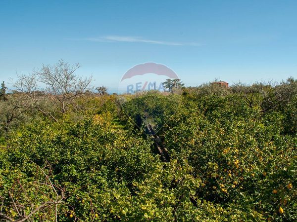 Rustico Sant'Anna, Mascali, CT Vendita - Foto 2