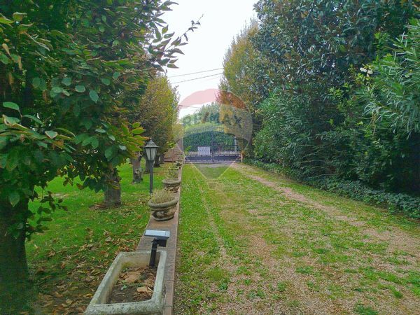 Villa o villino Medolla, MO Vendita - Foto 3