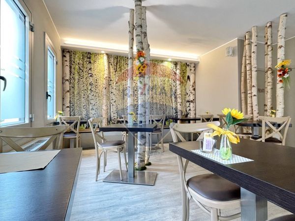 Bar Vigonza, Vigonza, PD Vendita - Foto 4