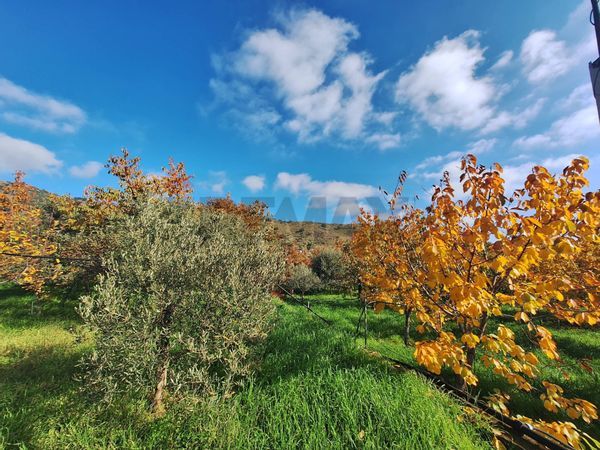 Porzione di villa Piedimonte Etneo, CT Vendita - Foto 4