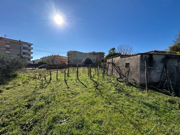 Villa o villino Centro, Terracina, LT Vendita - Foto 3