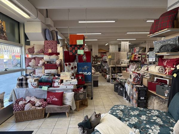 Attività  Commerciale Pian di Vedoia, Ponte nelle Alpi, BL Affitto - Foto 4