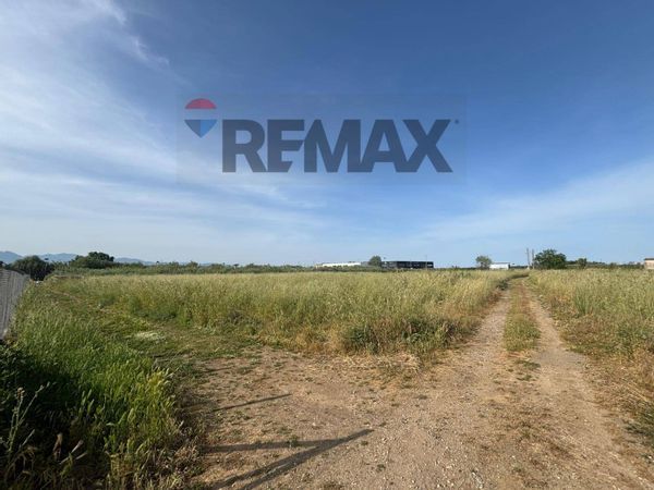 Terreno Industriale Corigliano-Rossano, CS Vendita - Foto 2