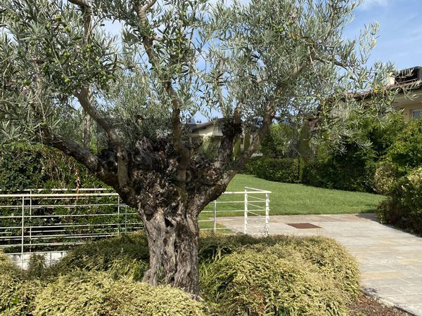 Appartamento Sirmione, BS Vendita - Foto 3