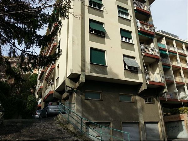 Appartamento Albaro, Genova, GE Affitto