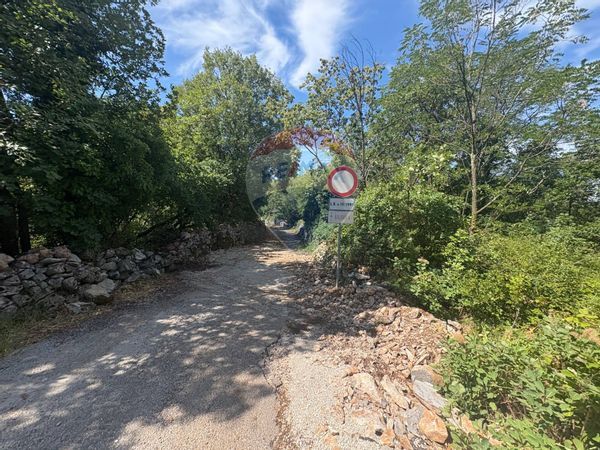 Terreno Sales, Sgonico, TS Vendita - Foto 3