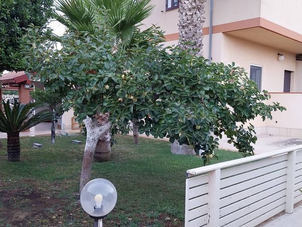 Porzione di villa Vittoria, RG Vendita - Foto 4