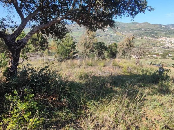 Terreno Edificabile Bolognetta, PA Vendita - Foto 4