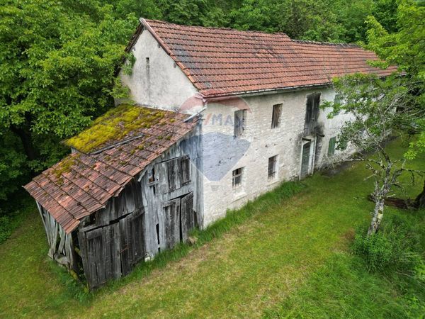 Fattoria Ronce, Belluno, BL Vendita - Foto 4