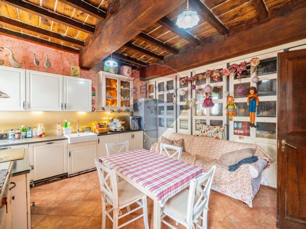 Azienda Agricola Salina, Viadana, MN Vendita - Foto 4