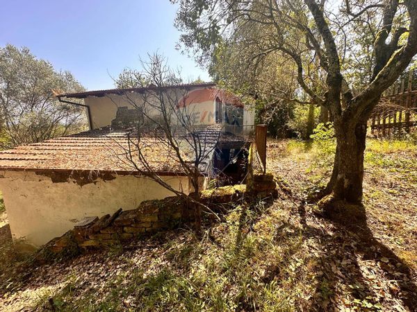 Casa Indipendente Civitella d'Agliano, VT Vendita - Foto 4