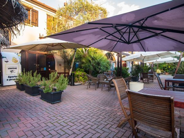 Ristorante Campodarsego, PD Affitto - Foto 4