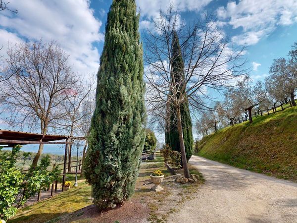 Cascina/Casale Cantalupo, Bevagna, PG Vendita - Foto 4