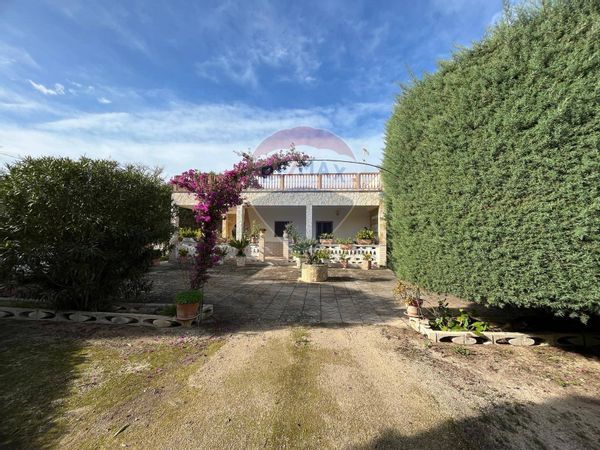 Villa singola Mesagne, BR Vendita - Foto 3