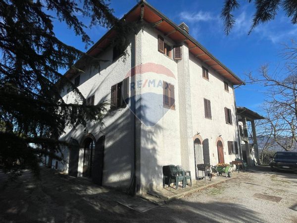 Azienda Agricola Campagna, San Giovanni Valdarno, AR Vendita - Foto 2