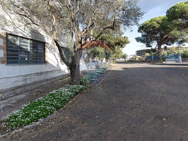 Capannone Industriale Periferia, Viterbo, VT Affitto - Foto 3