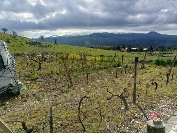 Rustico Randazzo, CT Vendita - Foto 4