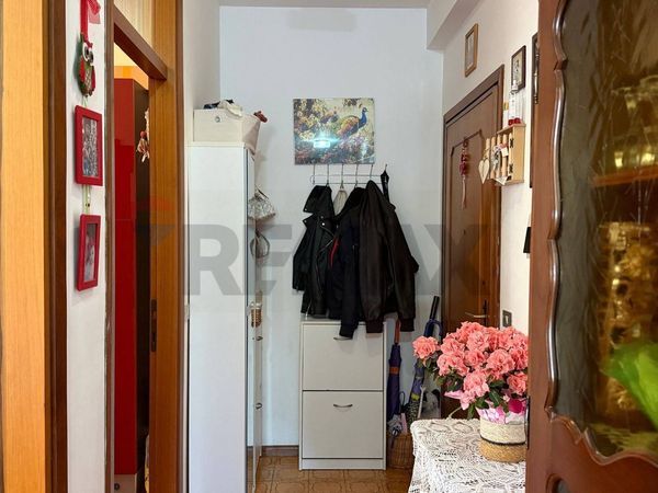 Appartamento Centro, Belluno, BL Vendita - Foto 4