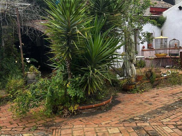 Casa Indipendente Viagrande, CT Vendita