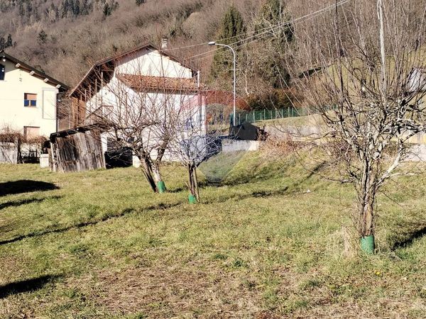 Casa Indipendente Facen, Pedavena, BL Vendita - Foto 3