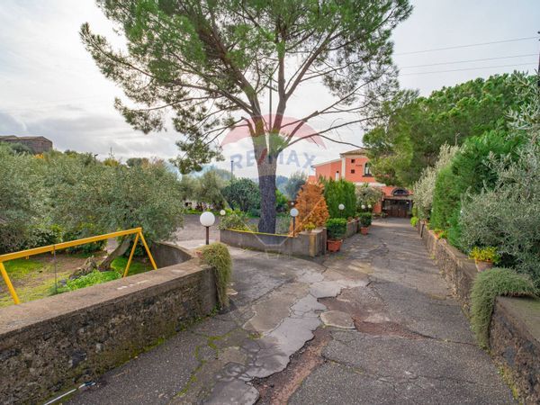 Ristorante Ragalna, CT Affitto - Foto 4