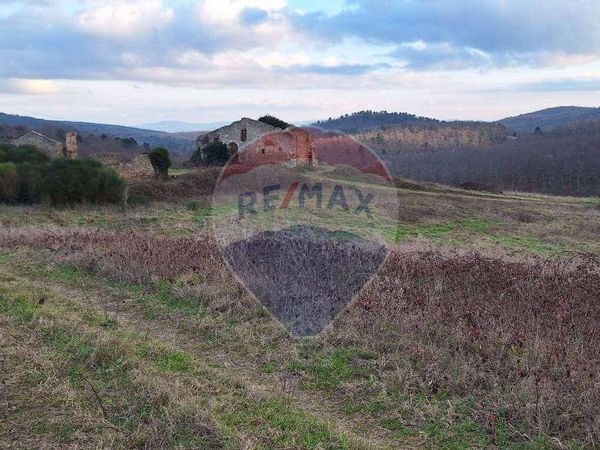 Rustico San Gimignano, SI Vendita - Foto 4