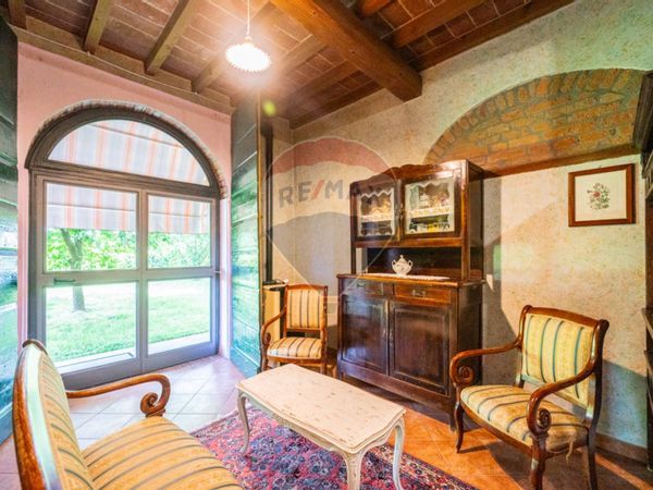 Azienda Agricola Salina, Viadana, MN Vendita - Foto 2