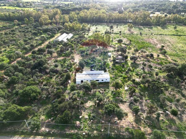 Azienda Agricola Zona Santa Margherita, Pula, CA Vendita - Foto 4